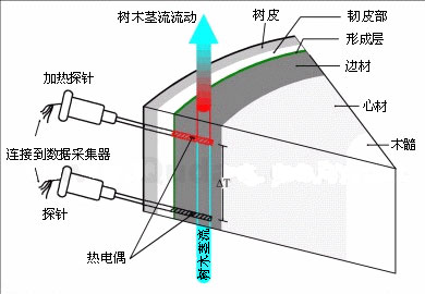 莖流（液流）測量系統(tǒng)