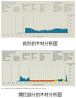 IML-RESI PD系列木質(zhì)檢測(cè)儀