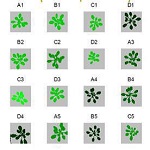 PlantScreen高通量植物表型成像分析系統(tǒng)（野外版）