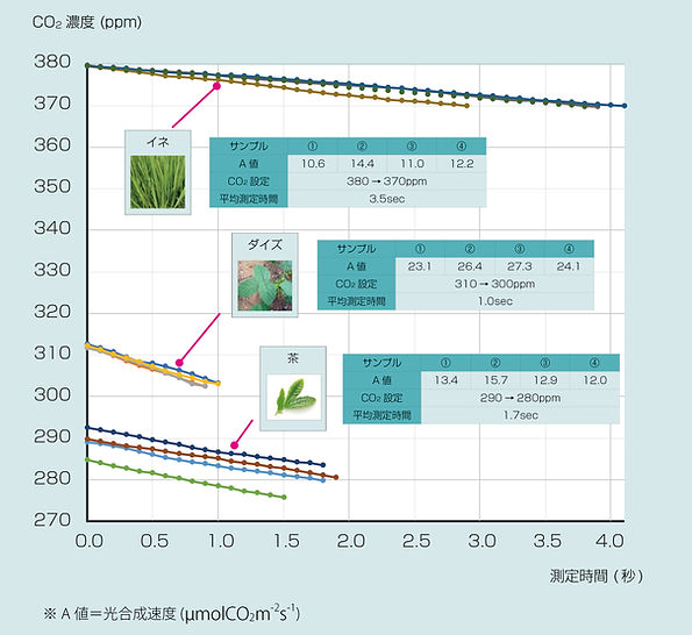 植物光合作用速率測(cè)量?jī)x