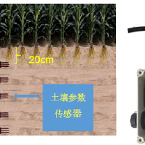 DJ-0211土壤多參數(shù)監(jiān)測(cè)網(wǎng)絡(luò)